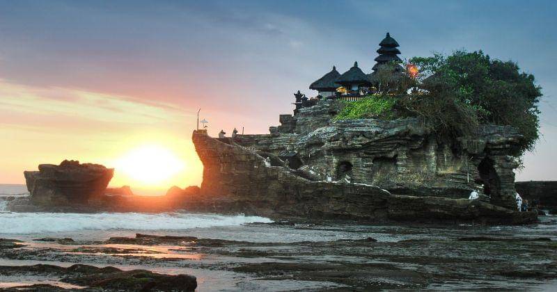 Unsplash/Harry Kessell